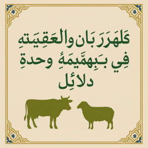 কুরবানির সাথে আকিকা দেওয়া জায়েজ আছে কিনা?