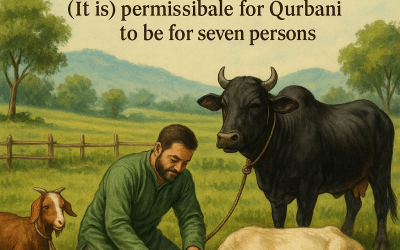 কুরবানির পশু কয় ভাগে কুরবানি দেওয়া যায়?